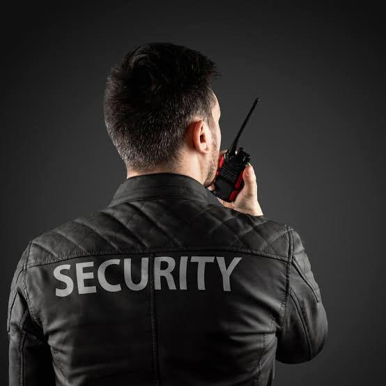 Corporate and private security management